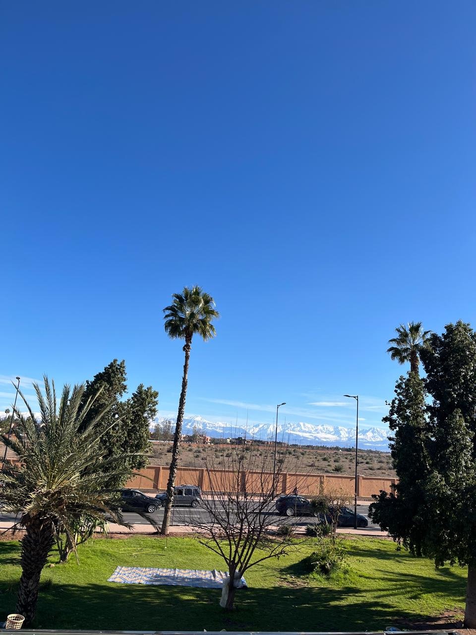 whatsapp image 2026 03 13 at 16.23.00 (1)